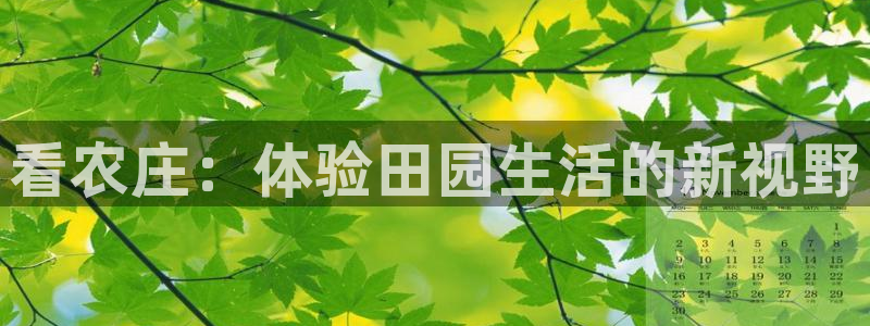 天辰娱乐棋牌