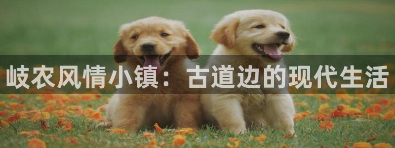 天辰娱乐挂机