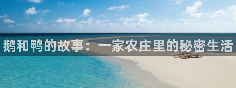 天辰娱乐老板