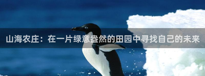 天辰娱乐卡