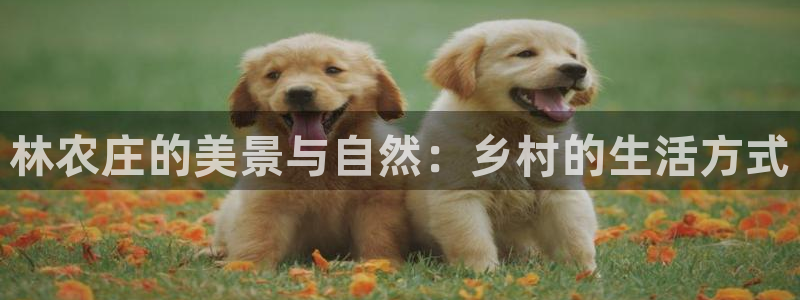 天辰娱乐 728567