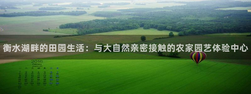 天辰娱乐_675138