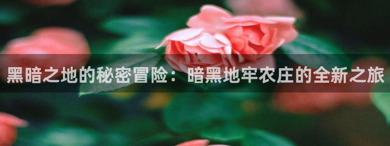 天辰娱乐服务