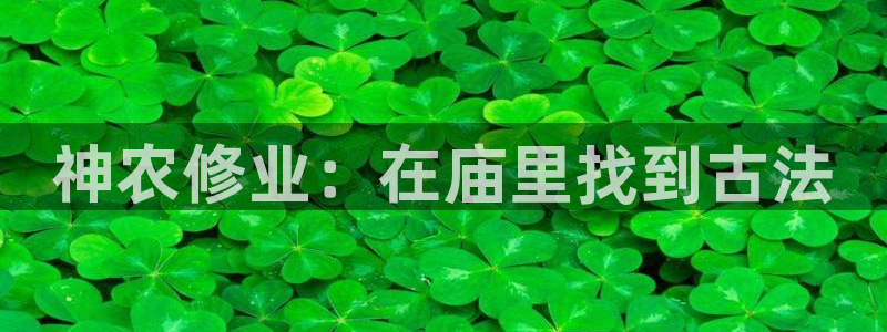 天辰国际娱乐