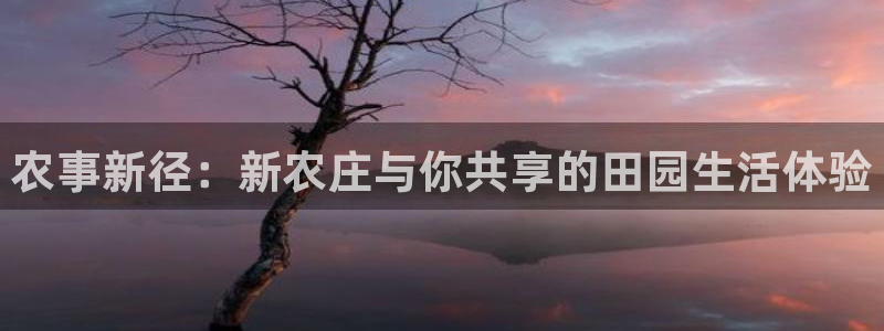 天辰娱乐代理