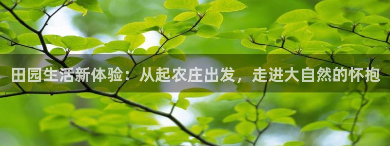 天辰娱乐网