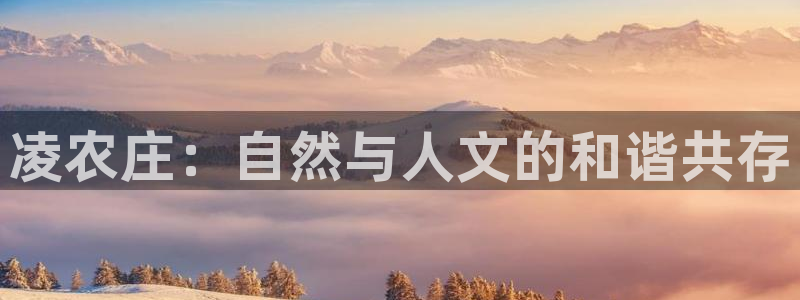 天辰娱乐网址娱乐游戏