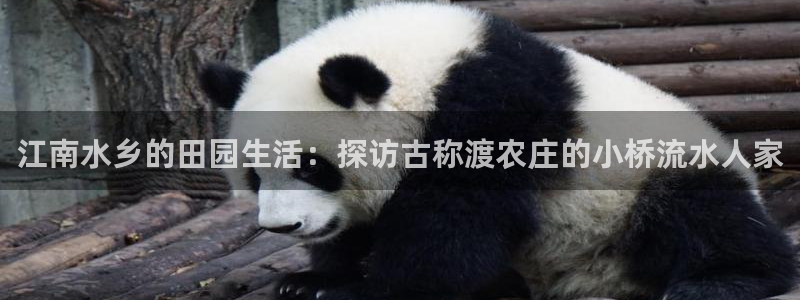徐州天辰娱乐