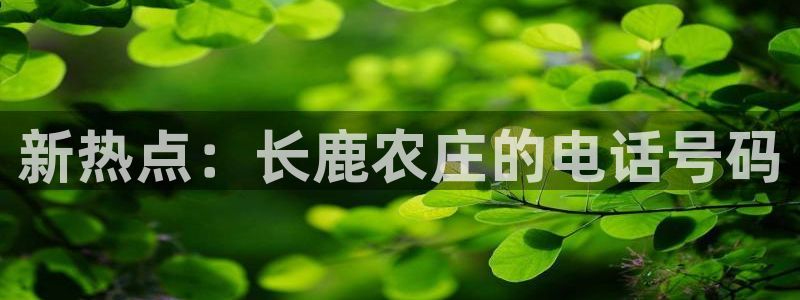 天辰娱乐总管年薪