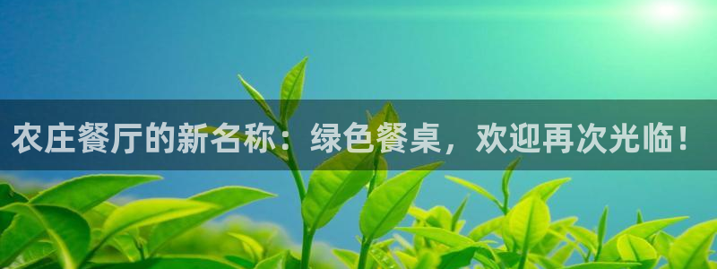 天辰娱乐股东