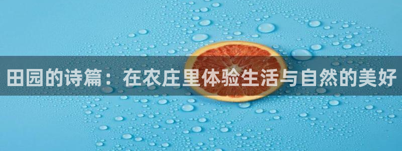 天辰娱乐下载链接