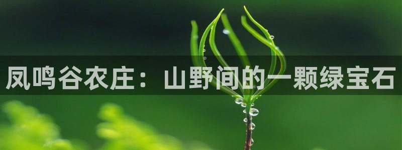天辰 娱乐