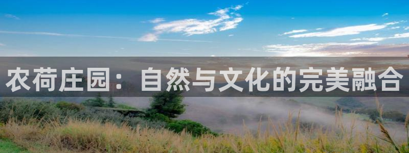 天辰娱乐