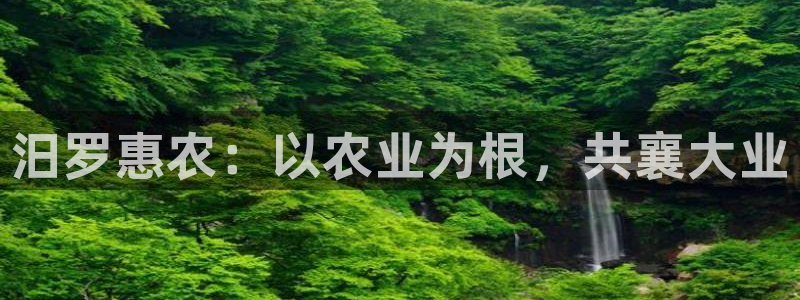 天辰娱乐公司