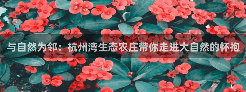 天辰娱乐在哪