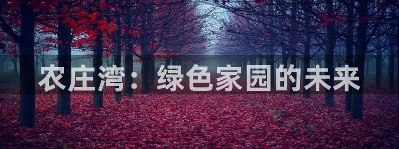 南京天辰娱乐