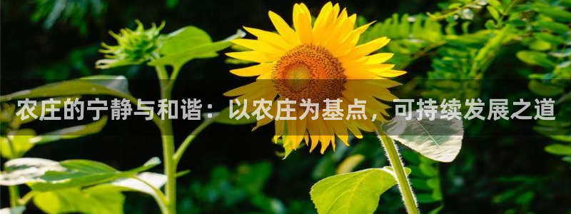 天辰娱乐老板