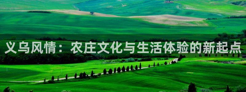 天辰娱乐总管年薪