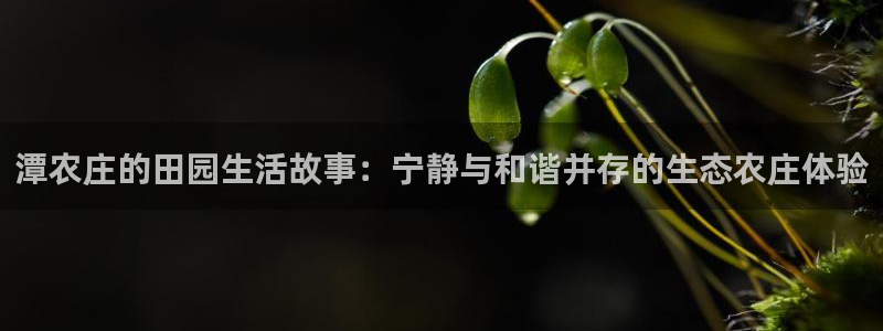 天辰娱乐会所