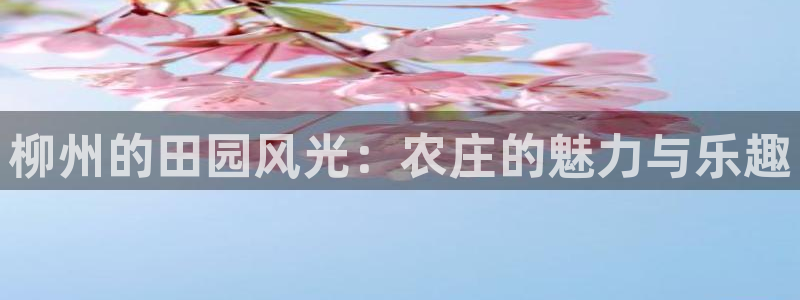 天辰娱乐上级