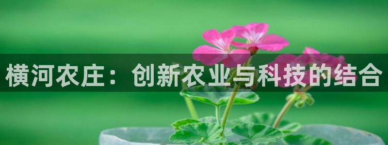 天辰2娱乐