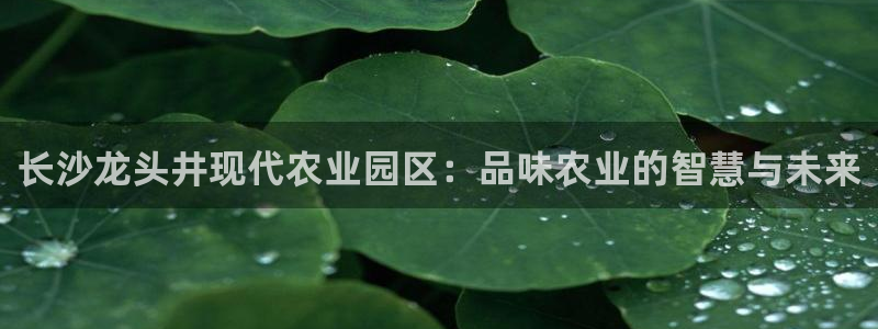 天辰娱乐娱乐平台