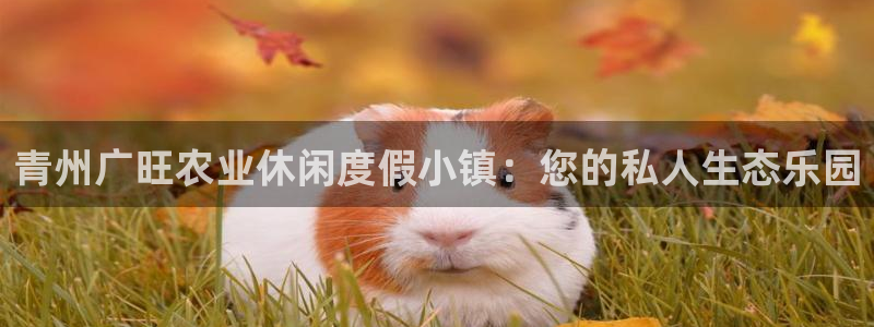 天辰娱乐所