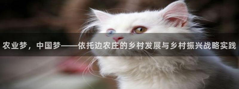 天辰娱乐主管