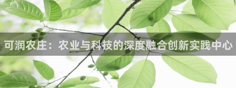 天辰娱乐下载链接