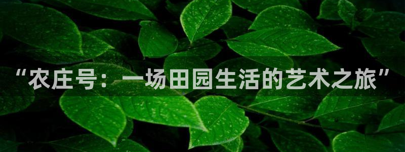 集宁天辰娱乐