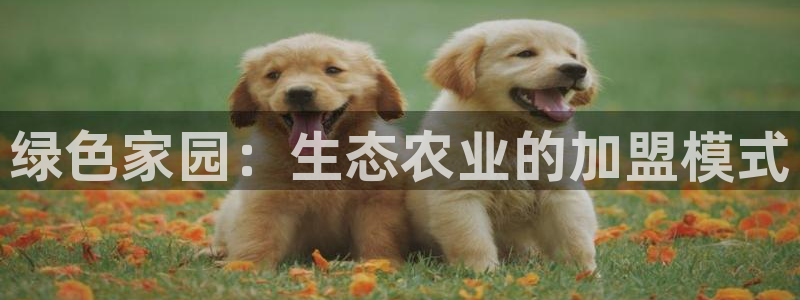 天辰娱乐会所