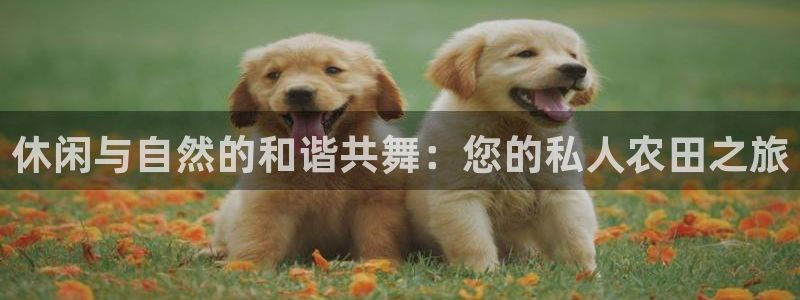 天辰娱乐appxi