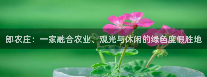 天辰娱乐会员
