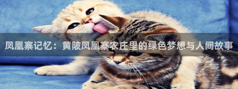 天辰登陆娱乐
