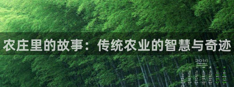 天辰娱乐会所
