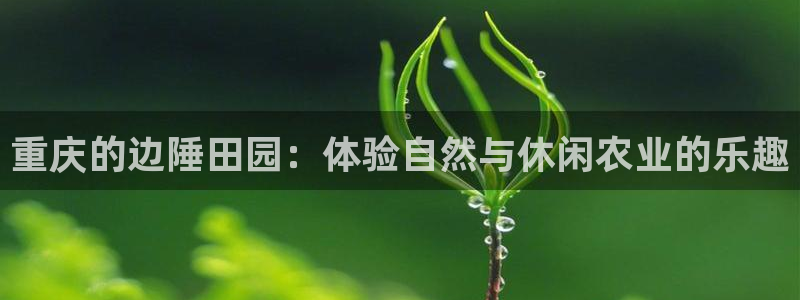 大同天辰娱乐