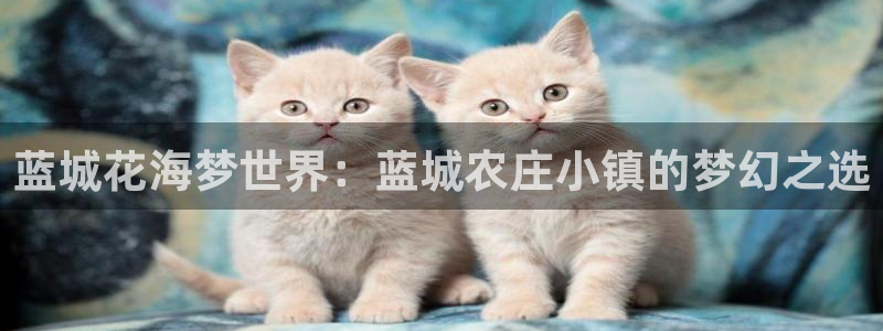天辰娱乐2