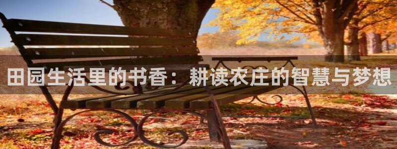 天辰团队贝高娱乐