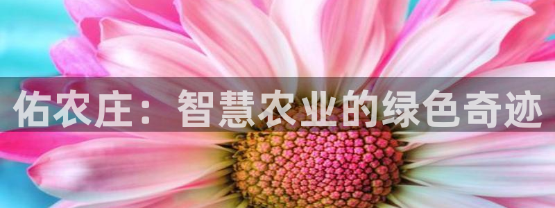 天辰宝娱乐