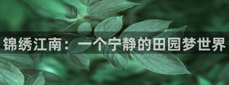 天辰说娱乐