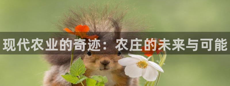 天辰娱乐扣钱