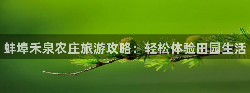 天辰娱乐集团