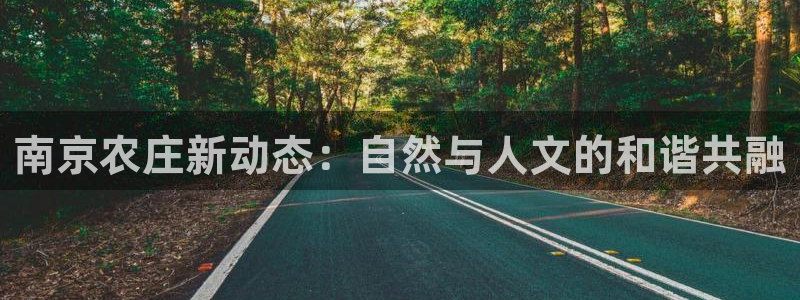 天辰娱乐连接
