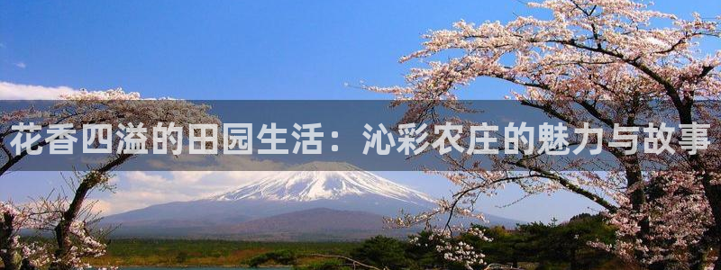 天辰娱乐官方