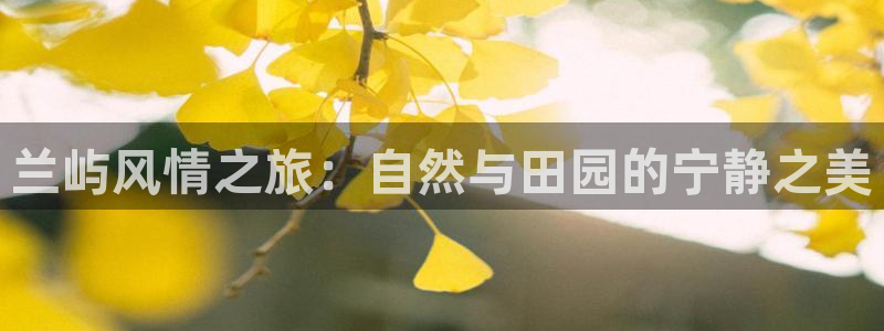 天辰娱乐棋牌