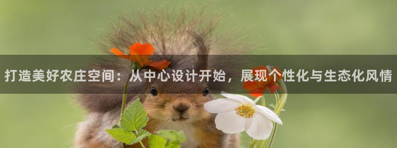 天辰娱乐代理