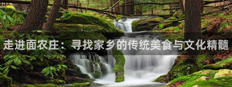天辰娱乐下载