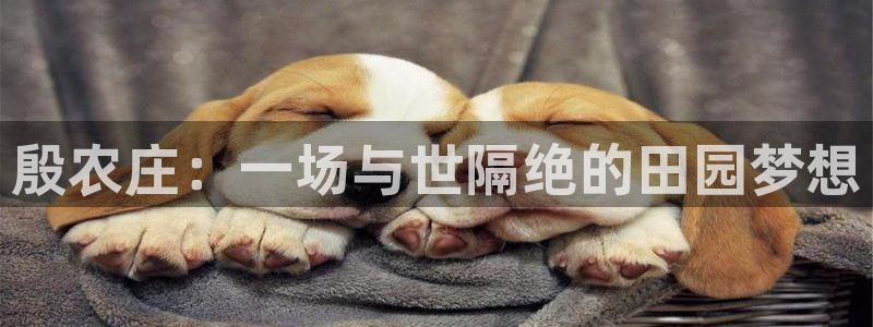 天辰娱乐黑人