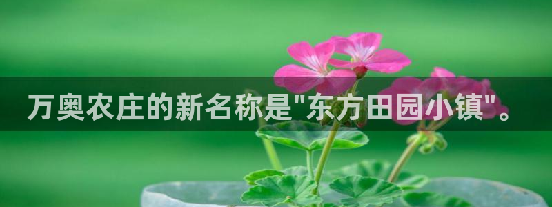 南京天辰娱乐