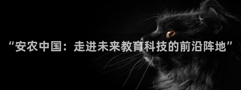 手机上怎么下载天辰娱乐
